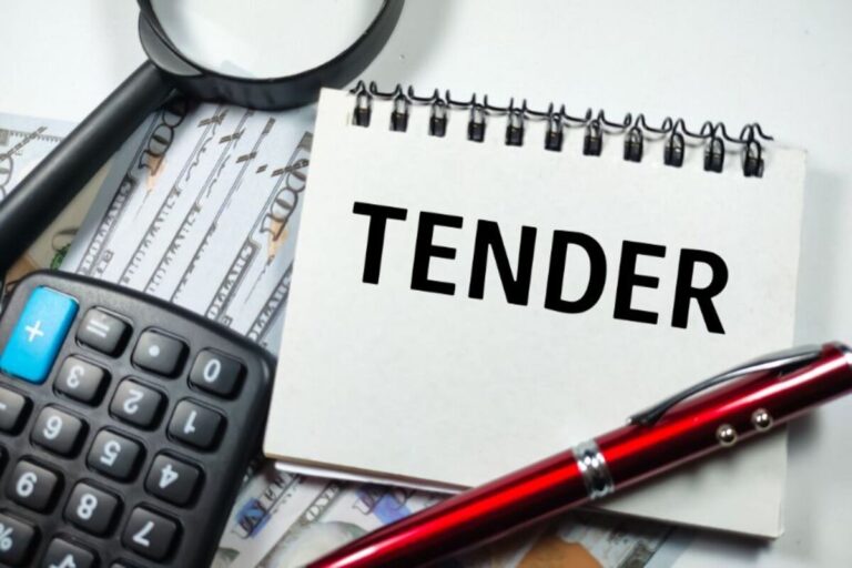 How to Crack Government Tenders: A Beginner’s Guide